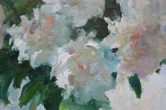 “White Peonies”