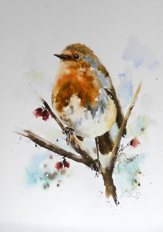 A Gentle Robin. Original watercolour painting.