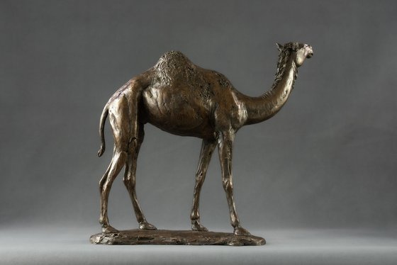 Camel  Bronze Resin sculpture