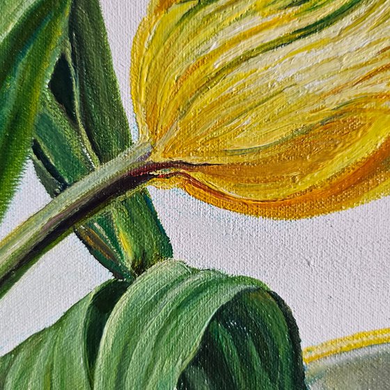 Yellow within Blue