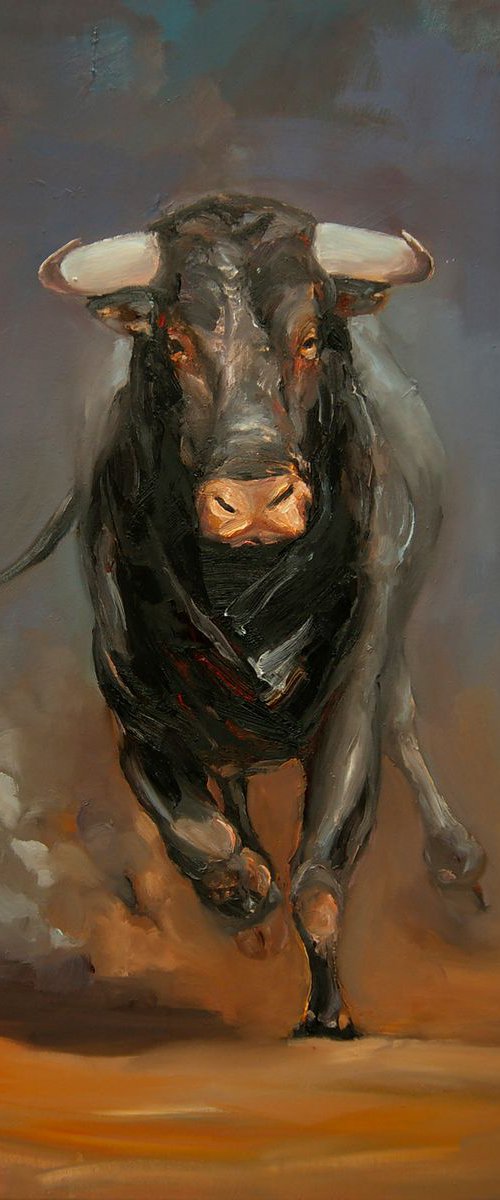 Toro IX by Zil Hoque