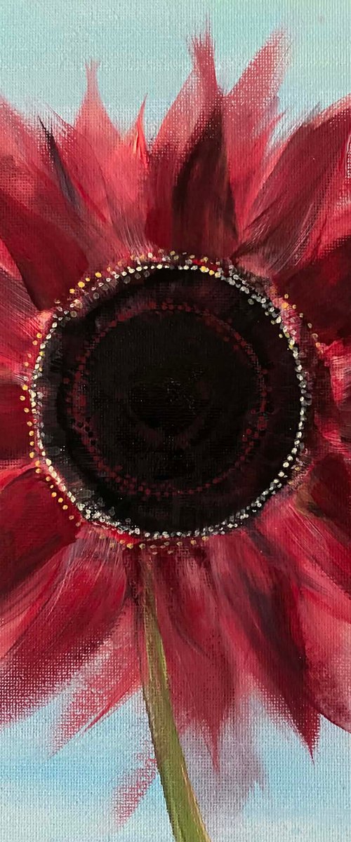 Crimson Sol by Samah Kthar
