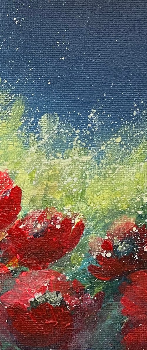 Moonlight Poppies by Emma Sian Pritchard
