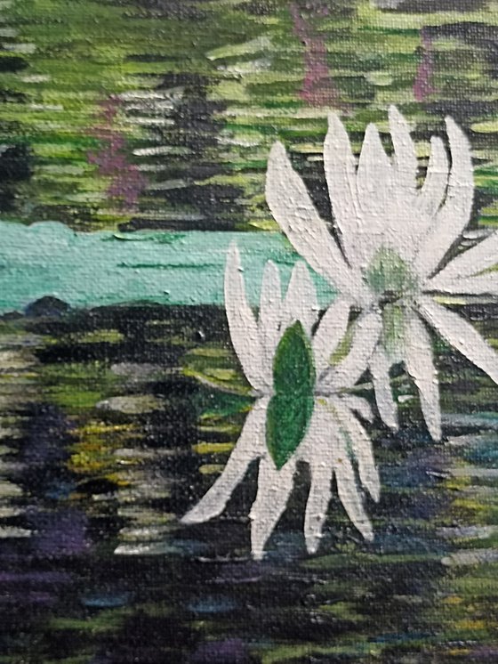 Waterlilies 2