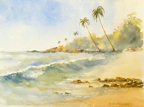 Tropical Shoreline