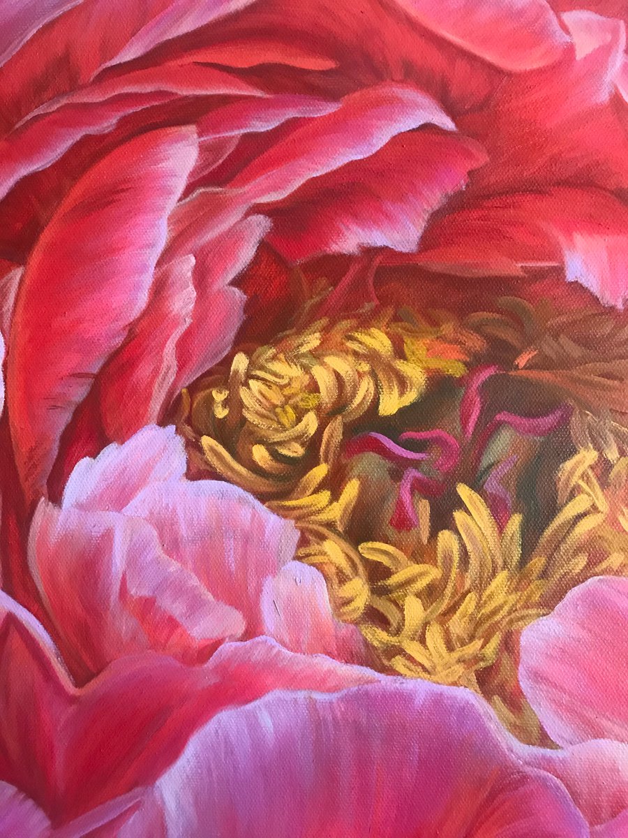 Red peonies Oil painting by Elena | Artfinder