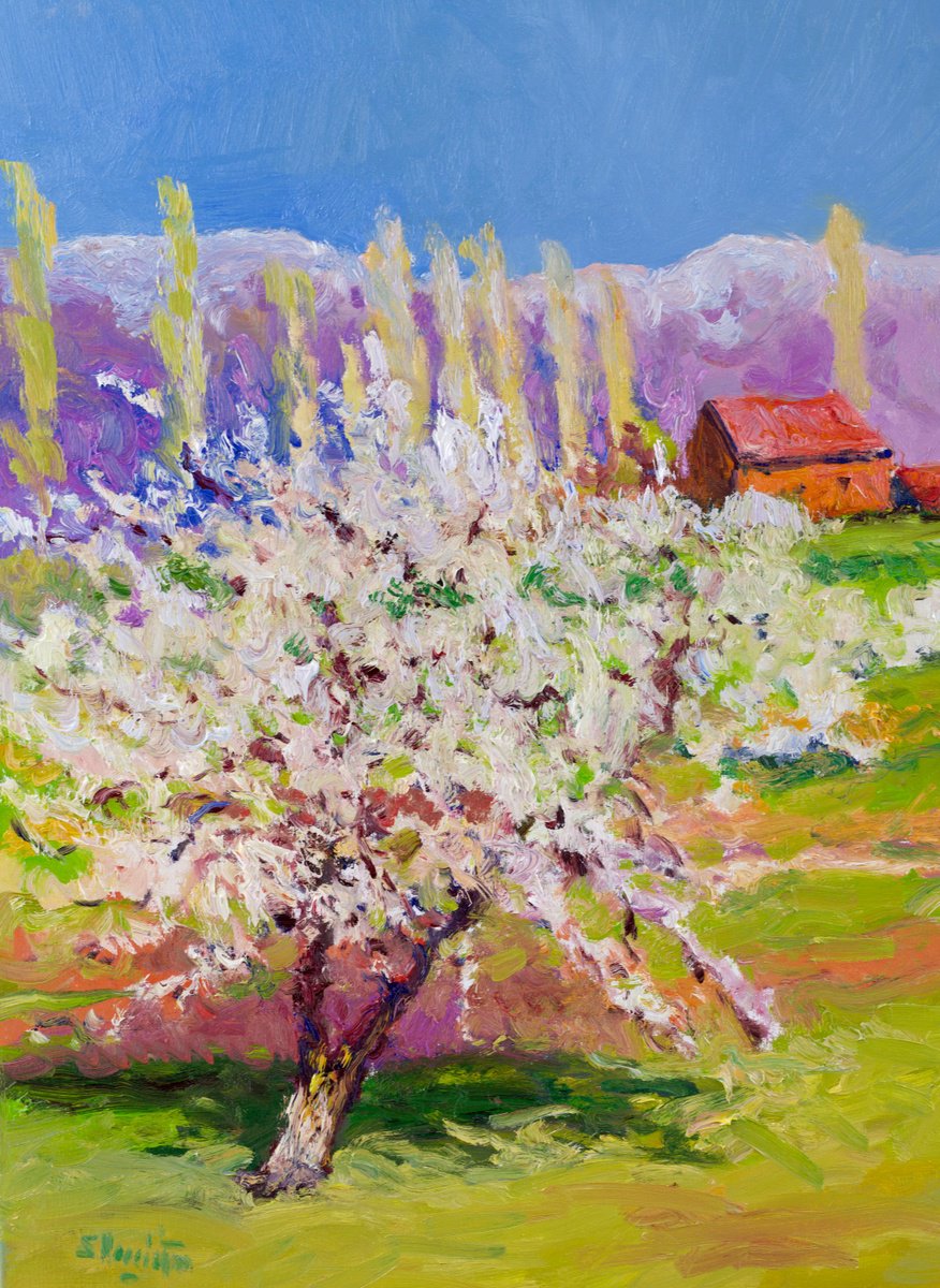 Apricot Tree In The Spring By Suren Nersisyan, 18 X 24, Artwork For Sale On Artfinder