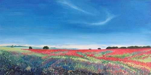 'Field of Poppies, Fife, Scotland' by Stephen Howard Harrison