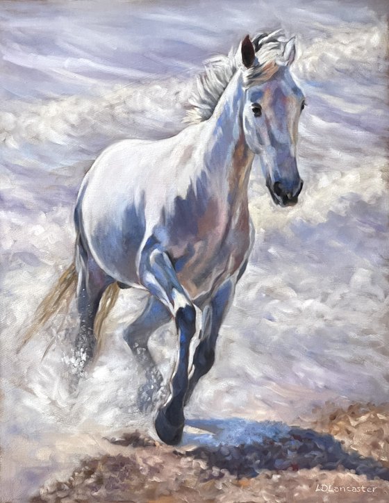 Making a Splash - Andalusian