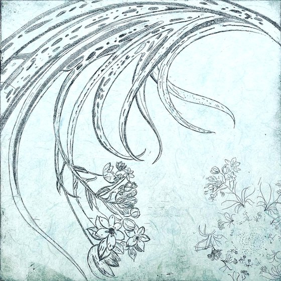 Starflower