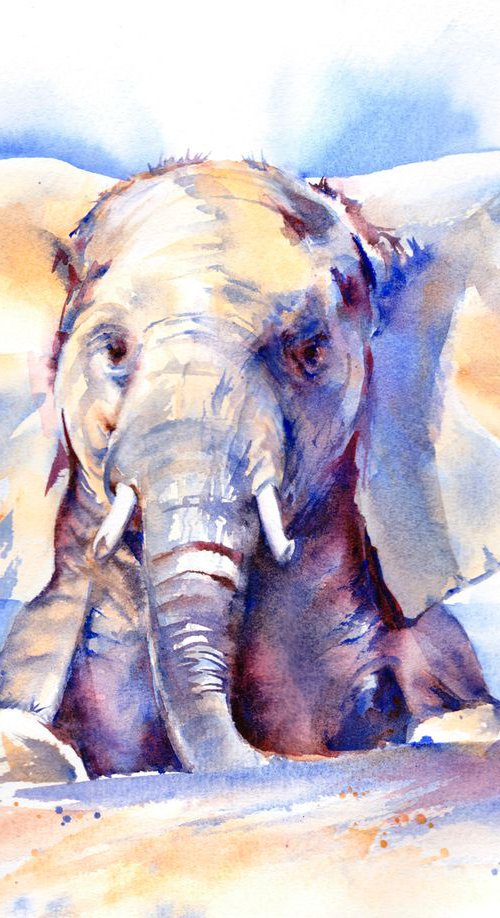 Baby elephant by Anjana Cawdell