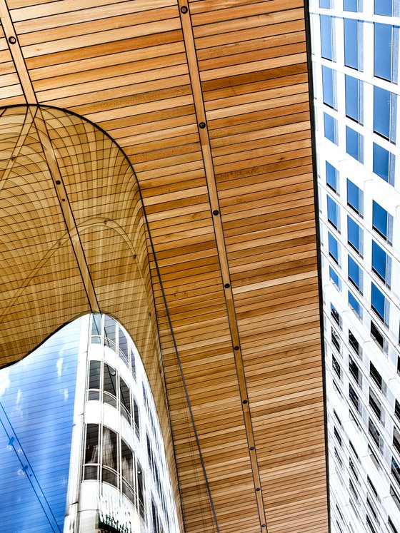 ROOF PROOF Apple Store Chicago