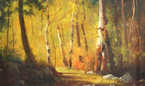 Landscape oil Painting One of a kind Handmade Artwork Realism