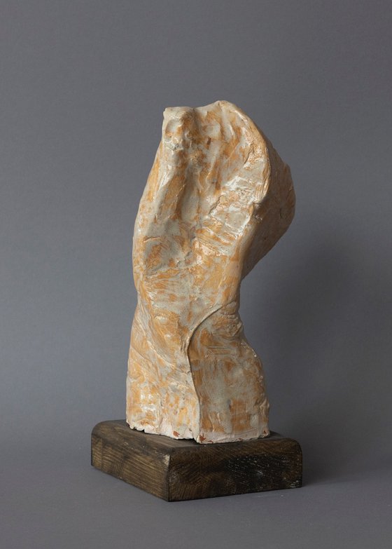 "Male Torso II"
