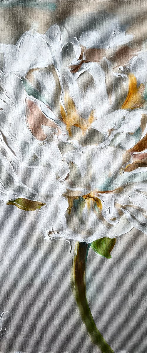 White peonies painting by Annet Loginova