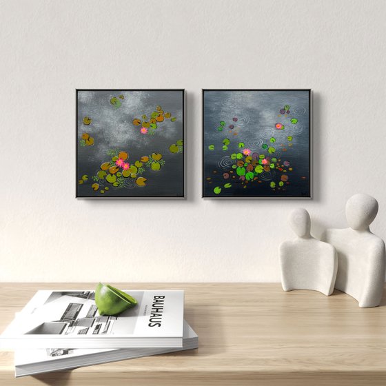 Mini Waterlily ponds