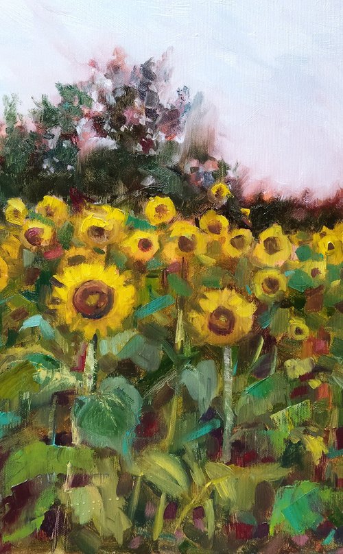 Vibrant Sunflower Landscape by Ann Krasikova