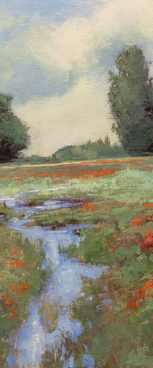 Spring Poppy Field 250107 by Don Bishop