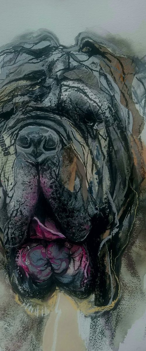 Naples mastiff by Nevena Kostić