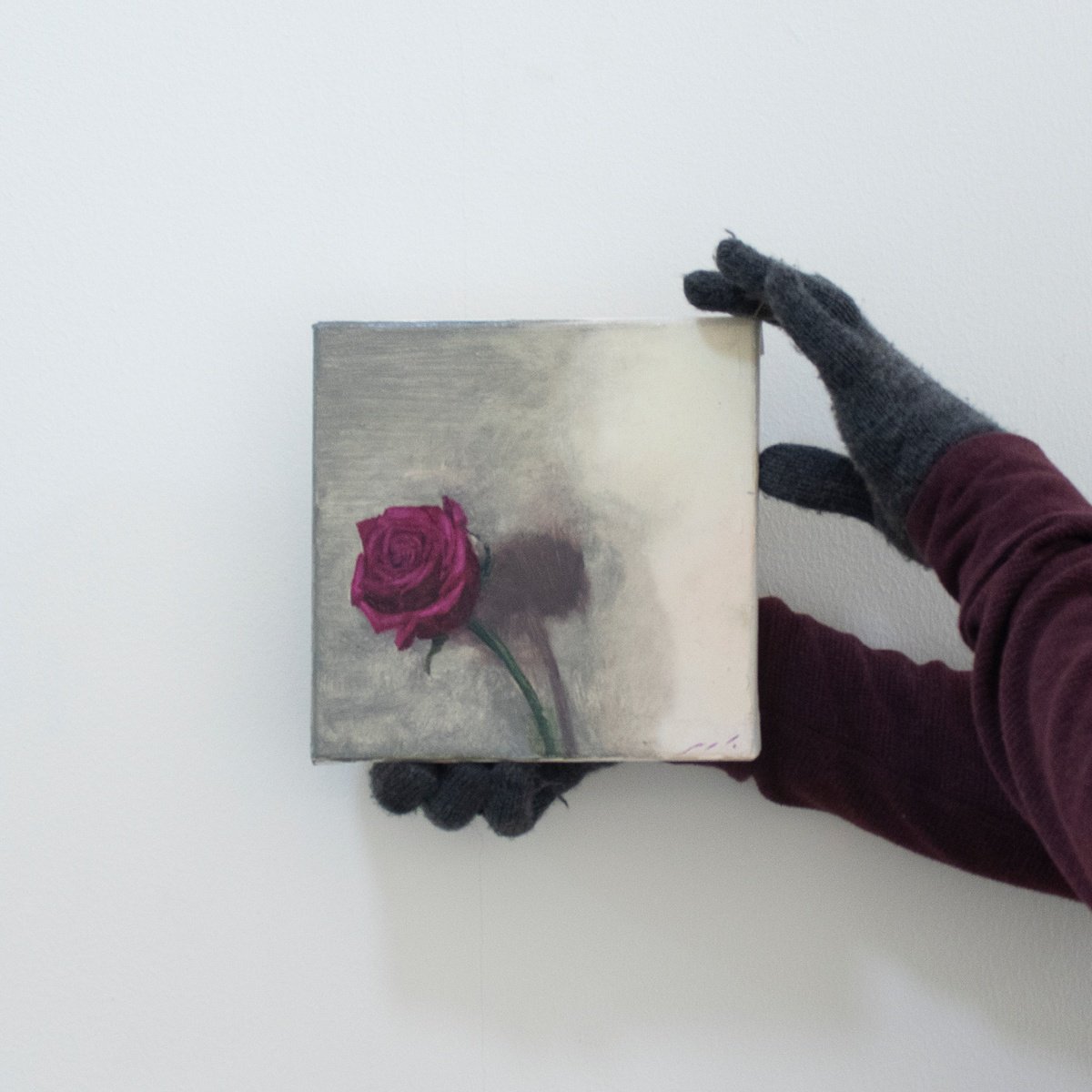 Magenta Rose by Mazen Ghurbal