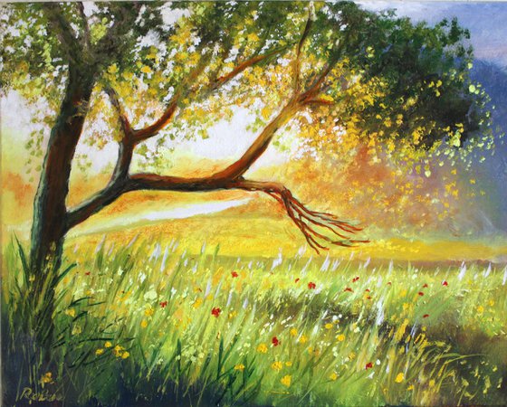 Summer Evening