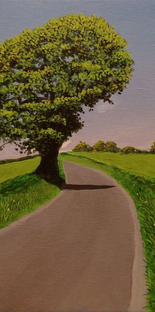 Seaghan Road by Barry Gray