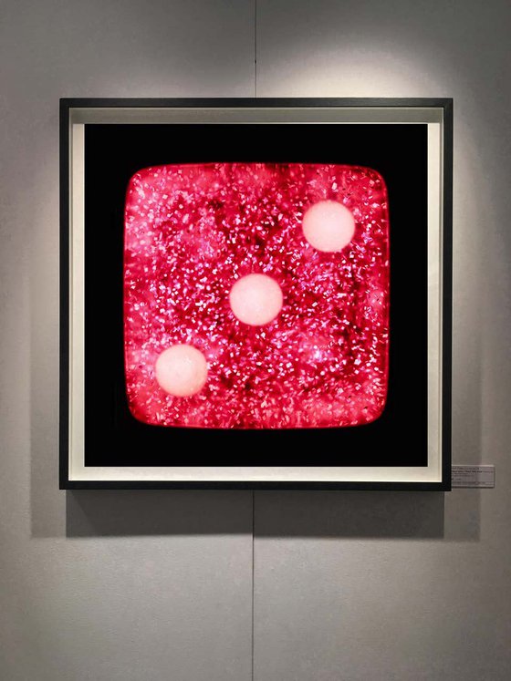 Heidler & Heeps Dice Series, Raspberry Sparkles Three