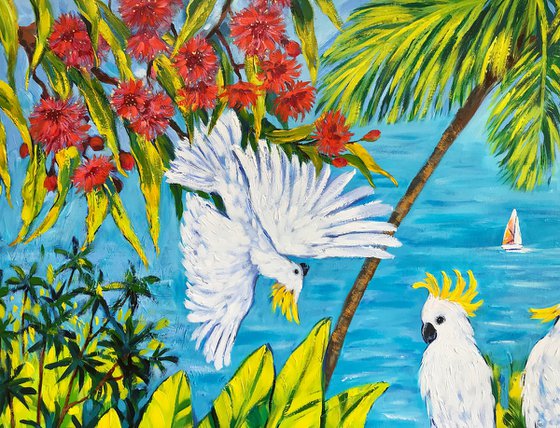 Cockatoos Secret Garden