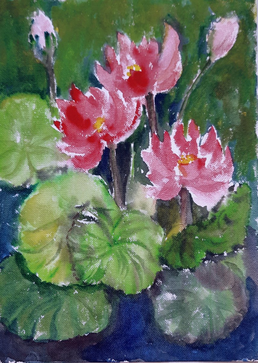 Water Lilies SL 21 - Watercolor waterlilies on paper 11.2x 8.2 by Asha Shenoy