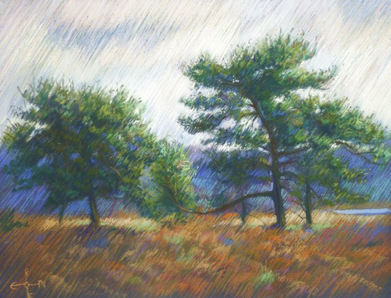 Hatert Meres (Hatertse Vennen) 08 (2014)