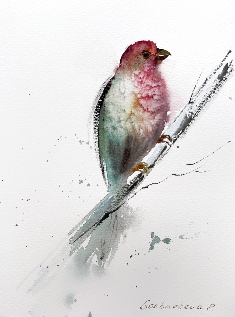 Impressionistic Animal Watercolour By Eugenia Gorbacheva, 6 X 8, Red Bird, Original Artwork