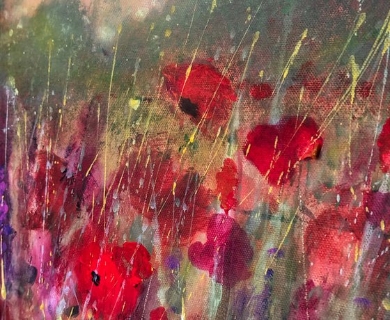 Poppy Garden Dream