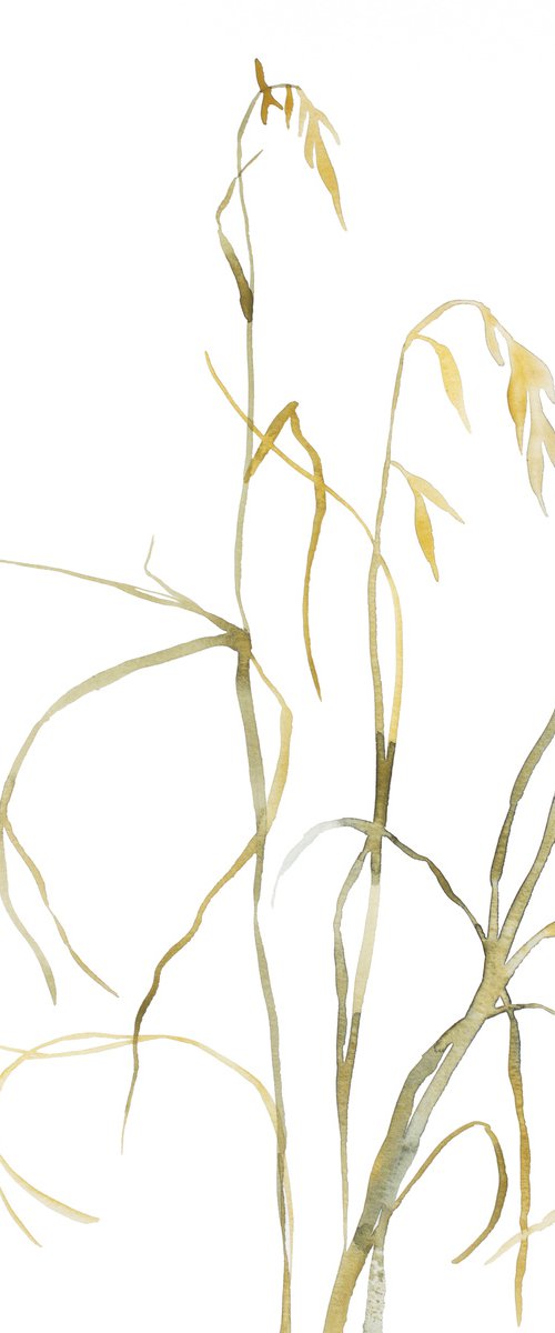 Grass Study No. 6 by Elizabeth Becker