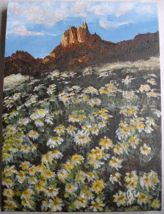 Field With Yellow Daisies - SOLD