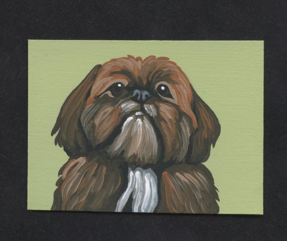 ACEO ATC Original Miniature Painting Shih Tzu Pet Dog Art-Carla Smale