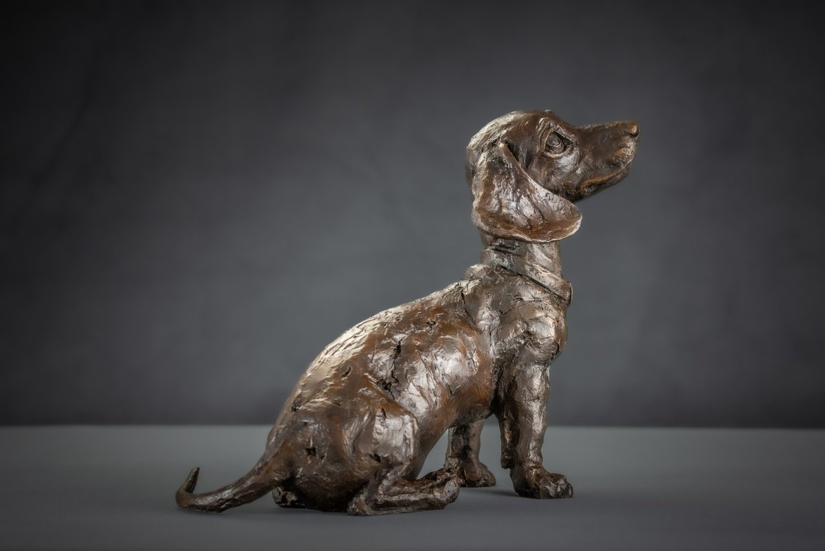Animal Sculpture By Tanya Russell, 11 X 10", "Pudding" Dachshund Puppy, Original Artwork