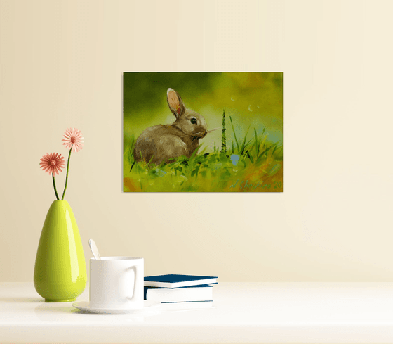 Rabbit