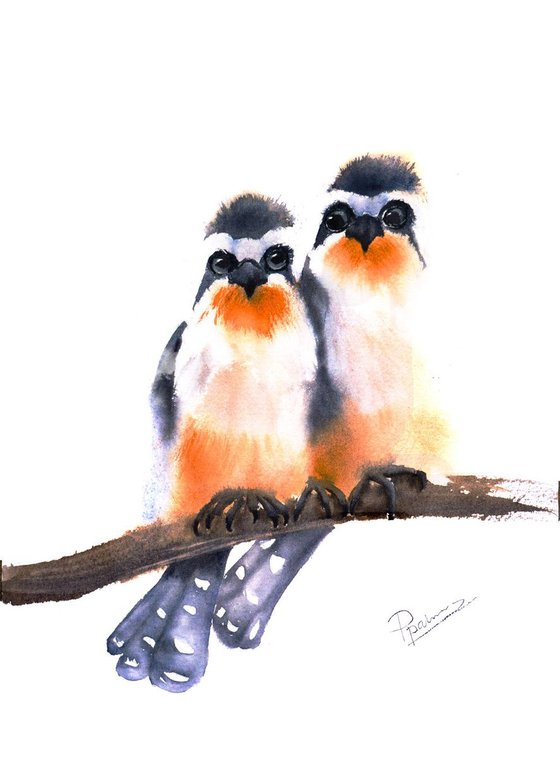 Couple birds Squirrel cuckoo  Original Watercolor