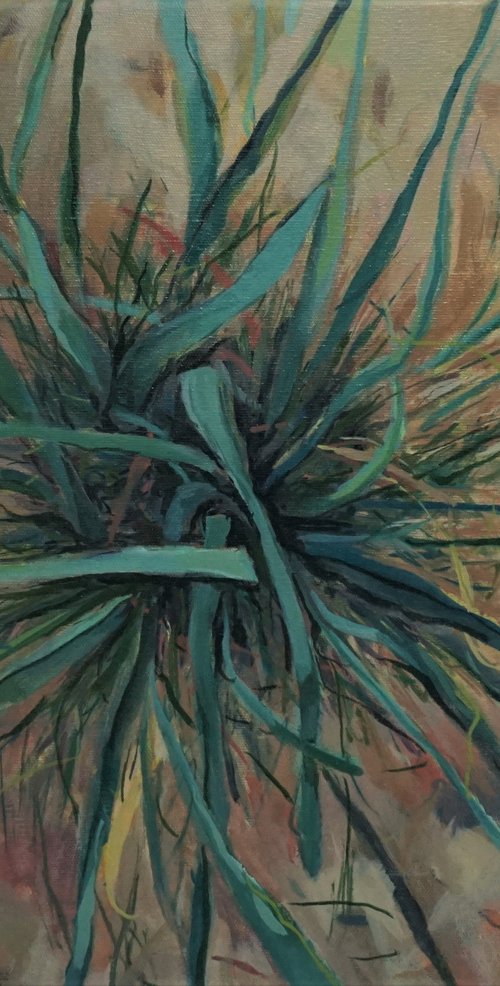 Planta en la Duna by Amaya Fernández Fariza