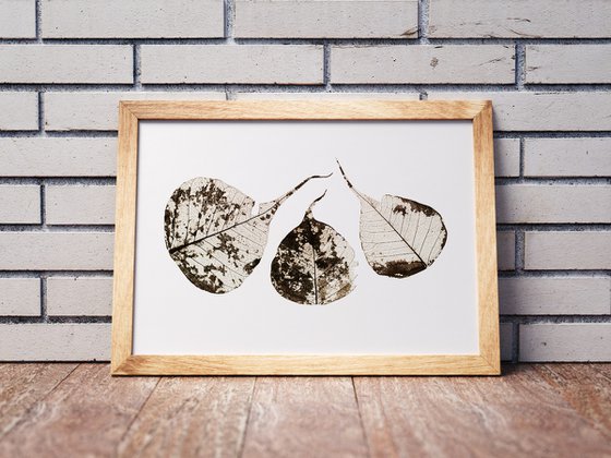 Fallen Leaves #1