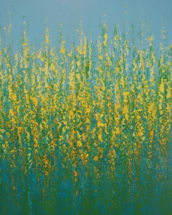 Yellow Flowers - Flower Field
