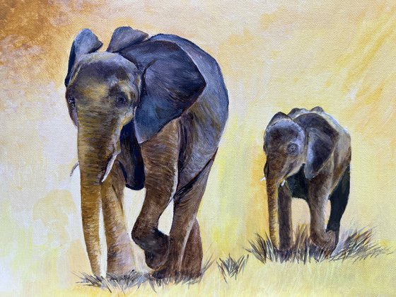 Elephants strolling