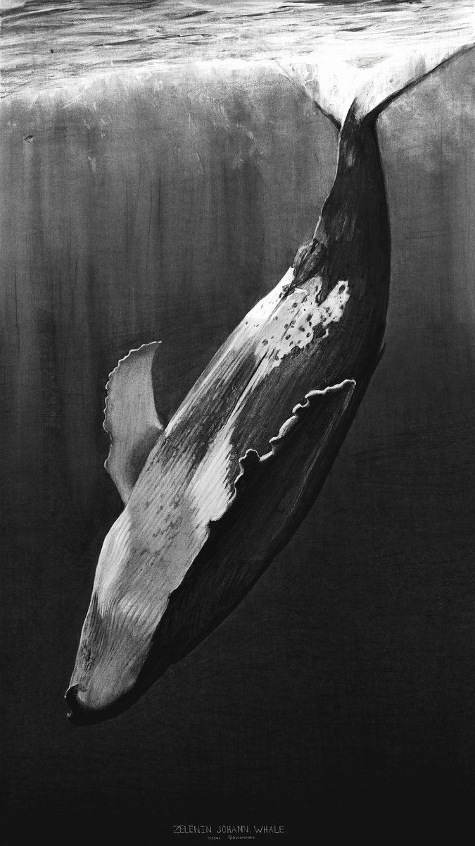 Whale black by Johann Zelenin