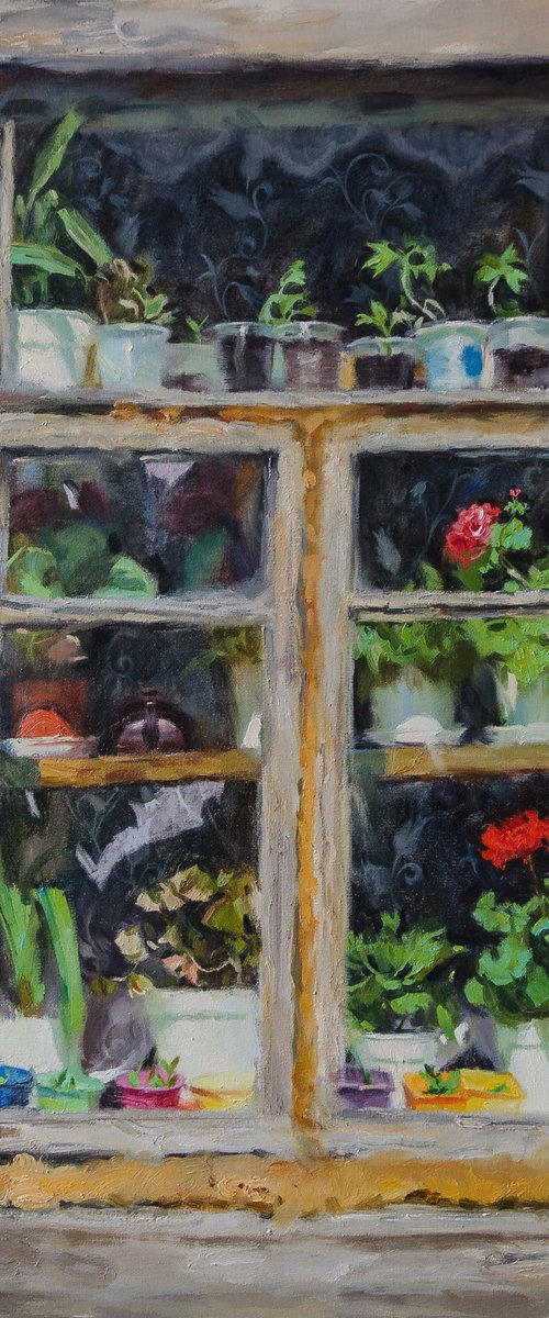 Window by Daria Salakhova