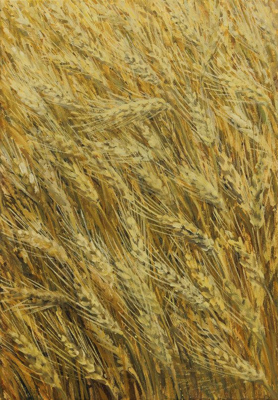 Žito v polju / Cereals in the Field II, 2018, acrylic on canvas, 50 x 35 cm