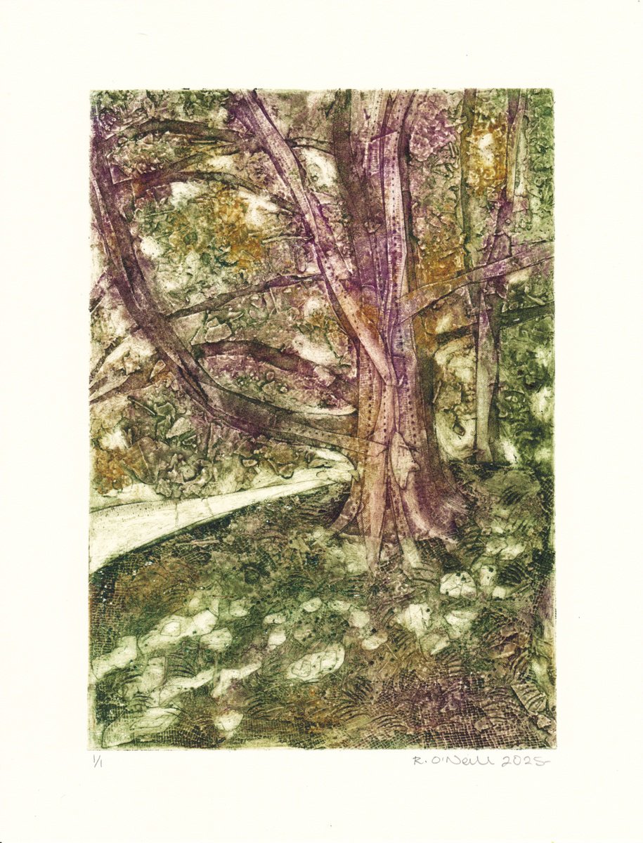 Expressive Limited Edition Print , Dappled Light By Rory O - ?neill, 8 X 10, Artwork For Sale On Artfinder