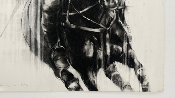 Centaur (study IV)