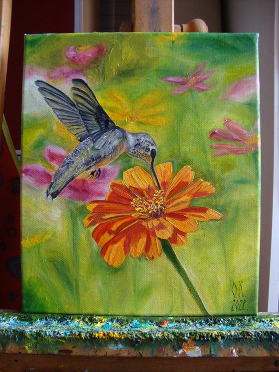 Hummingbird