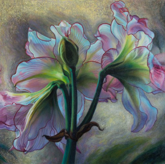 Pink Amaryllis Triptych