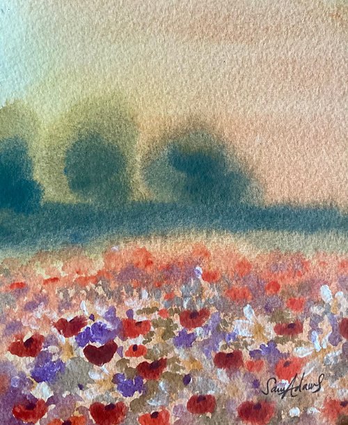 Sunset meadow by Samantha Adams